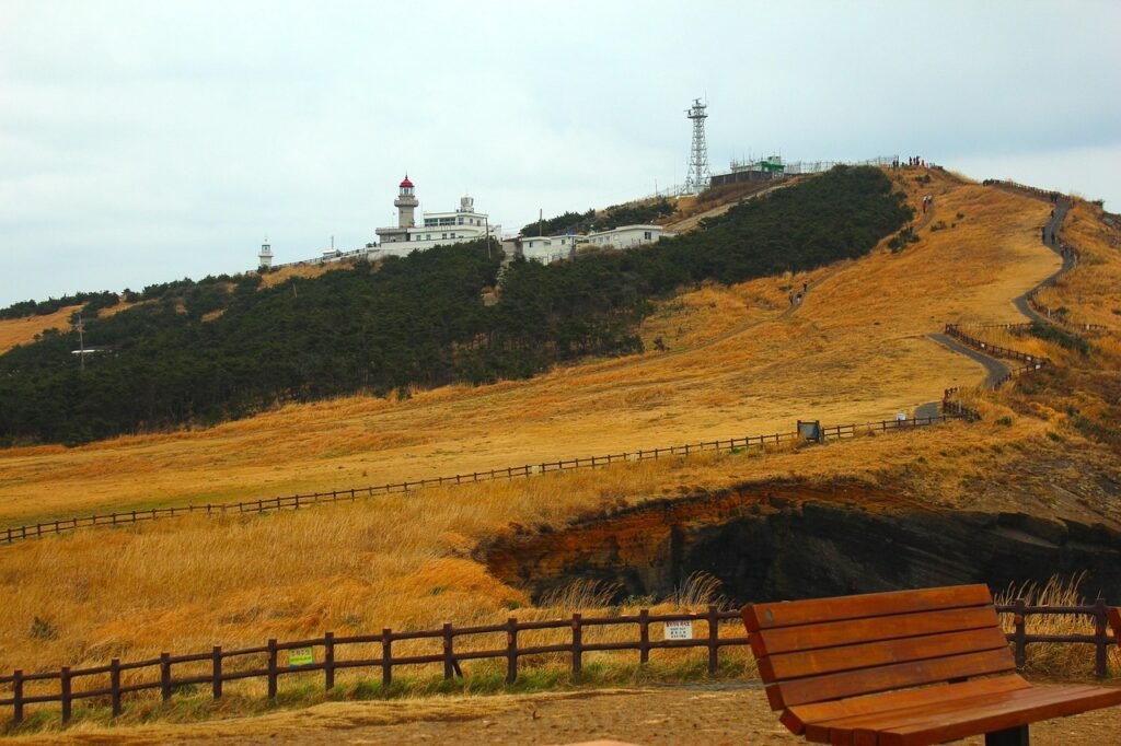 Animal crossing island name generator